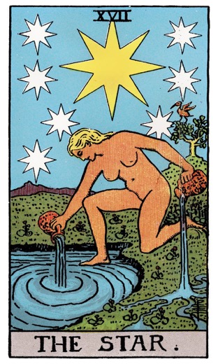星星牌預覽